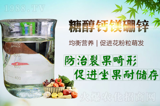     �����_���������ж���Ҫ���_�������ڵ����c��������