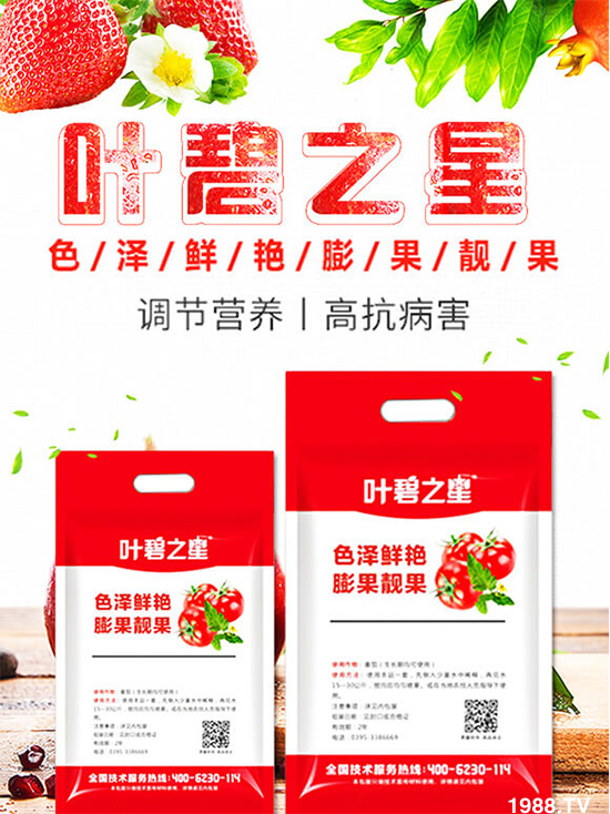 番茄開花少產量低怎么辦？牢記這幾點，番茄坐果不用愁！