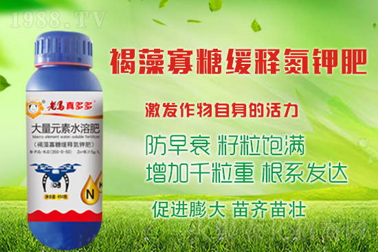 大蒜高產(chǎn)收益高，蒜頭膨大措施有哪些？如何施肥