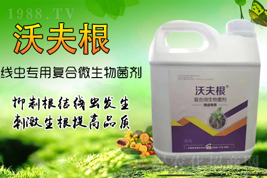 ���Y(ji��)���x��Ⱦ������������������������Ч����!