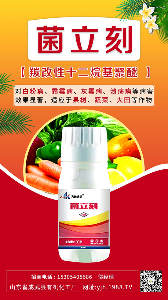 葡萄霜霉病還是白粉?。縿e再傻傻分不清了！如何分辨及防治？