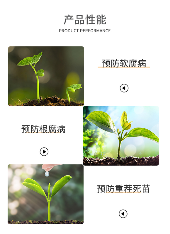 �����A�ź㶼�Ƽ�����؟�ι�˾-�ο�ֲ��(932593)_04