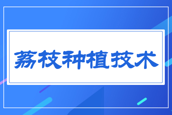 ��֦�Nֲ���g