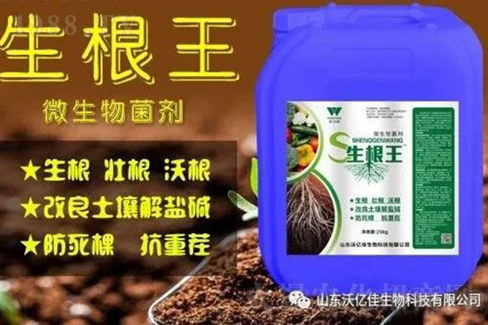 作物重茬、爛根死棵嚴(yán)重啥原因？如何改善這些難題？