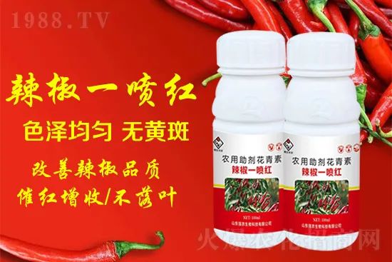 辣椒催紅增收專利產(chǎn)品！自然增紅零激素，色澤勻無黃斑