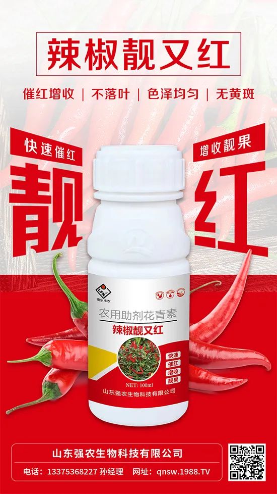 辣椒催紅增收專利產(chǎn)品！自然增紅零激素，色澤勻無黃斑