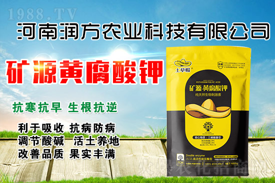 礦源黃腐酸鉀為什么牛？怎么用才能效果翻倍？
