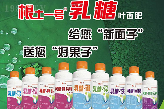 獼猴桃需肥特點(diǎn)有哪些？獼猴桃膨大肥怎么施