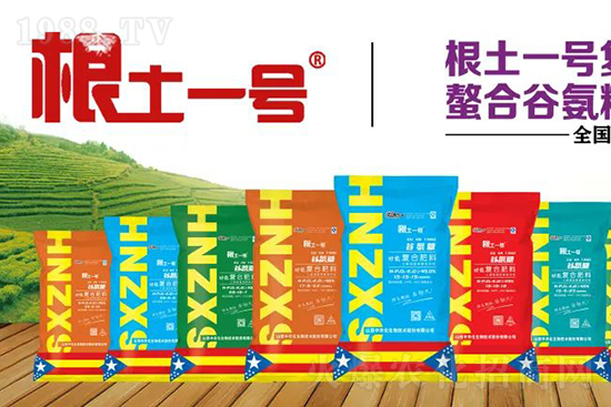 果實套袋后可減少農(nóng)藥殘留,改善果子的外觀品質(zhì),可大大提高果品賣相,更容易出售并賣出高價,所以果樹套袋目前仍然是我國果園的主要管理方法,套袋蘋果表光就是好,也少病害。