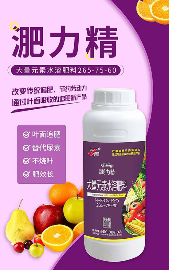 玉米追肥復(fù)合肥好還是尿素好？很多人都錯(cuò)了！它才是正確選擇