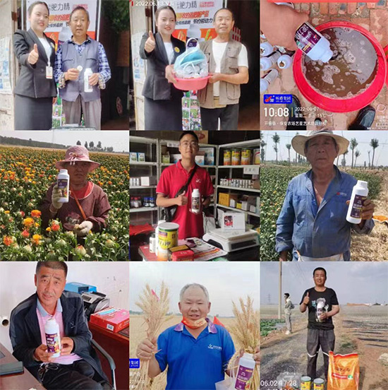 玉米追肥復(fù)合肥好還是尿素好？很多人都錯(cuò)了！它才是正確選擇