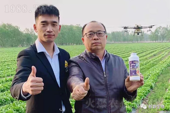 玉米追肥復(fù)合肥好還是尿素好？很多人都錯(cuò)了！它才是正確選擇