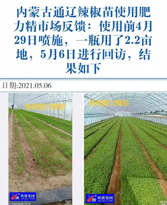 玉米追肥復(fù)合肥好還是尿素好？很多人都錯(cuò)了！它才是正確選擇