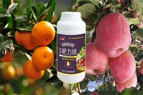 玉米追肥復(fù)合肥好還是尿素好？很多人都錯(cuò)了！它才是正確選擇