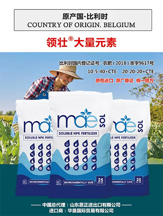 ��500�2000���߶��M(j��n)�ڷʡ��ԃr(ji��)�Ȱ�����