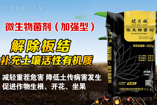 礦源黃腐酸鉀你了解多少？礦源黃腐酸鉀遇見(jiàn)微生物菌劑有啥奇妙反應(yīng)？