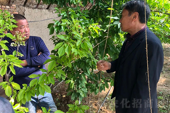 中農(nóng)化新疆北疆辦事處負(fù)責(zé)人:同路同行共發(fā)展