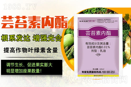 蕓苔素內(nèi)酯為啥被稱為植物救命藥？蕓苔素內(nèi)酯怎么選？