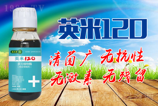 ��轰׷۲��İY����ʲô����轰׷۲����η�����