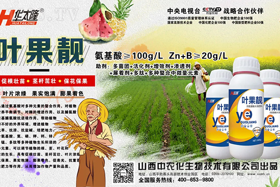     蘋果果個小是什么原因？解決對策有哪些？