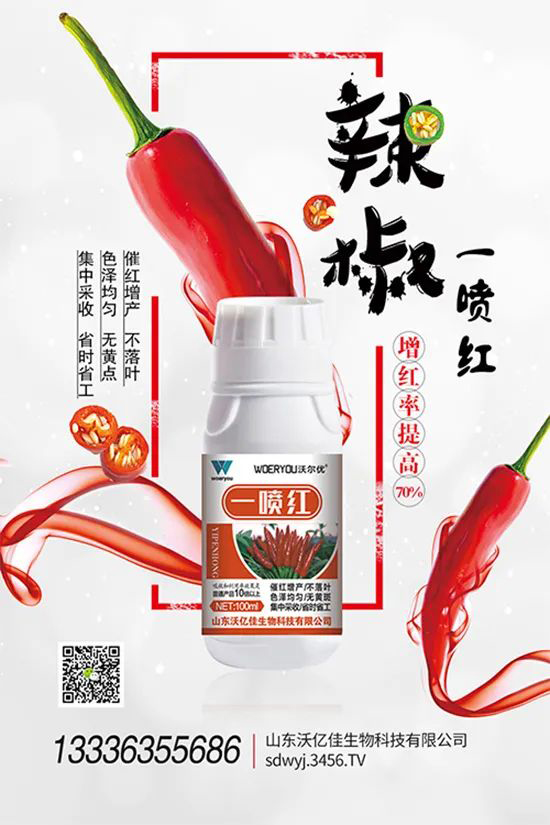 ���t�����95%���߼t�����~�����뷭�׷�����������һ���t��