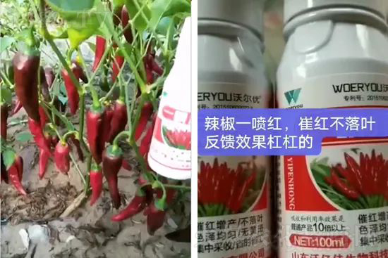 ���t�����95%���߼t�����~�����뷭�׷�����������һ���t��