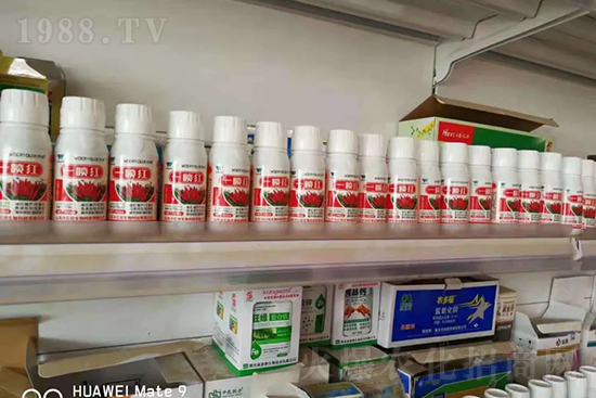 ���t�����95%���߼t�����~�����뷭�׷�����������һ���t��