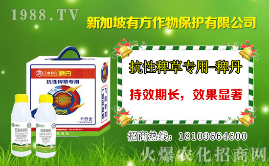 ���݄��r(ji��)��