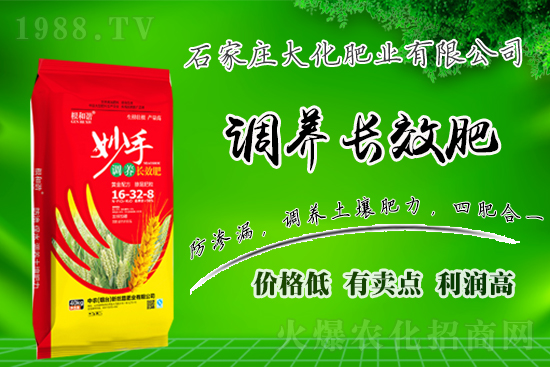 戰(zhàn)略合作再升級(jí)，石家莊大化肥業(yè)再次簽約1988.TV！