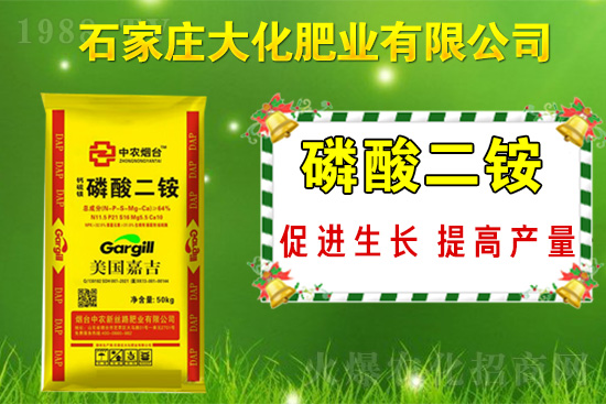 戰(zhàn)略合作再升級(jí)，石家莊大化肥業(yè)再次簽約1988.TV！