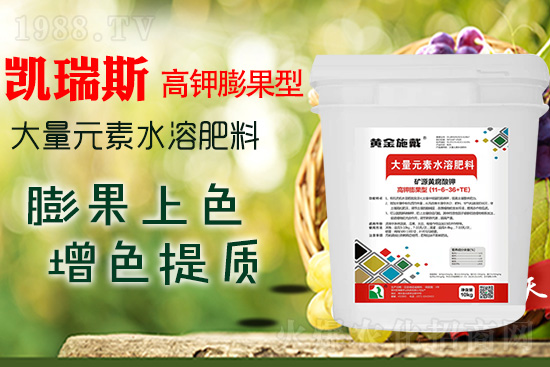     ���M(j��n)���������ɫ���@��(g��)�䷽��(zh��n)�]�e(cu��)���������|(zh��)���a(ch��n)��