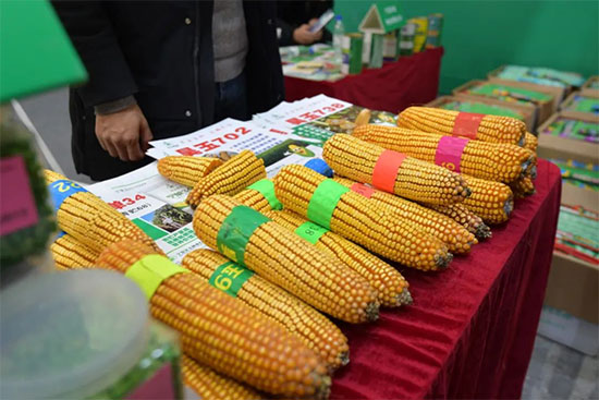 哈爾濱種業(yè)博覽會2