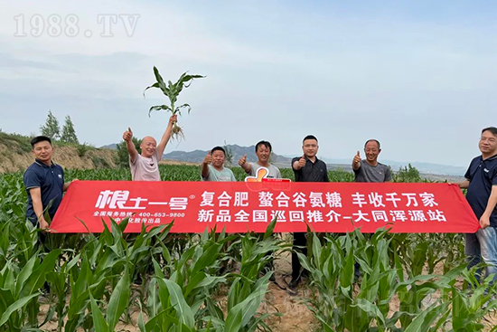 渾源玉米頂呱呱，營(yíng)養(yǎng)補(bǔ)充全靠它