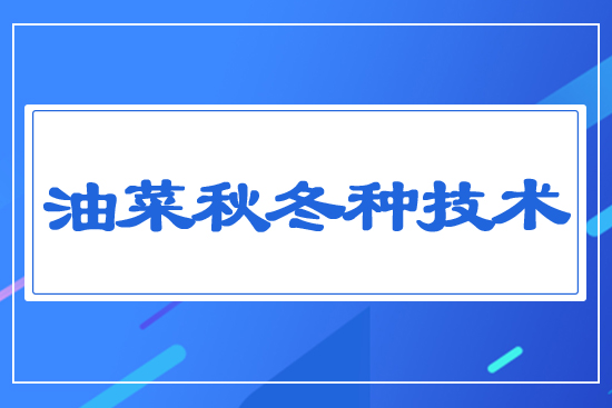 �Ͳ��ﶬ�N���g