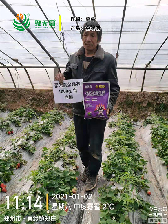 金縷醫(yī)地衣芽孢桿菌-聚無霸4