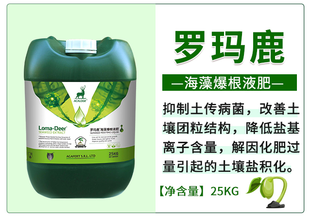 ����Һ��-���L_02