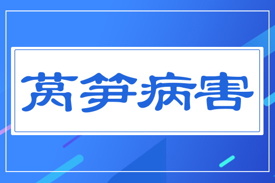 ？萵筍病害