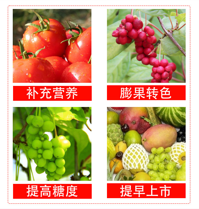 �����D(zhu��n)ɫ�������t-��������_05