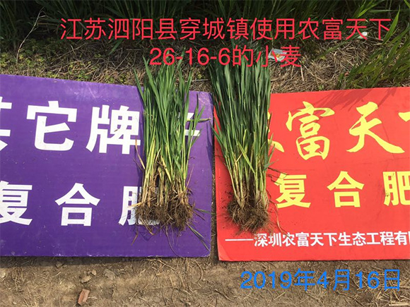 大田專用磷酸二氫鉀型復合肥料17-17-17-農(nóng)富天下5