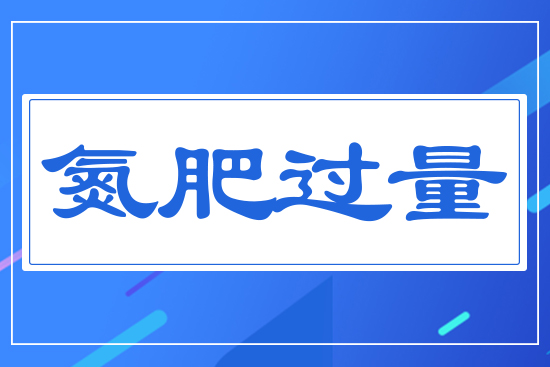 氮肥過(guò)量