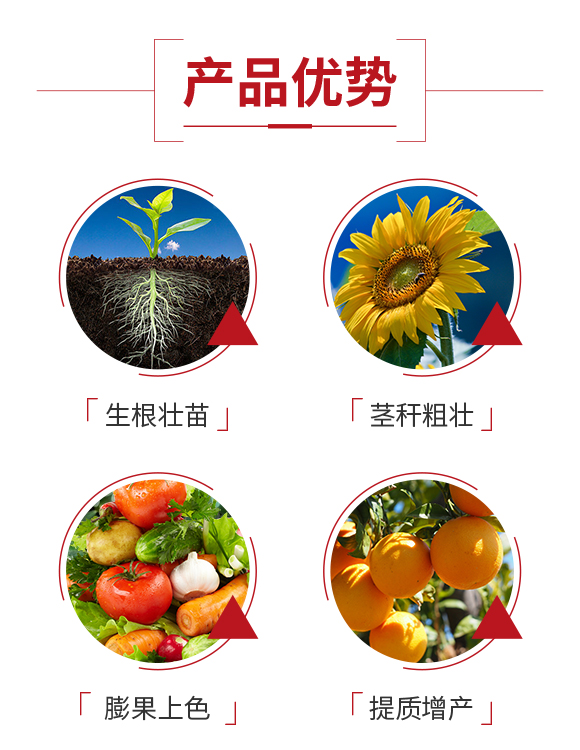 梁山正陽農業(yè)科技有限公司_03