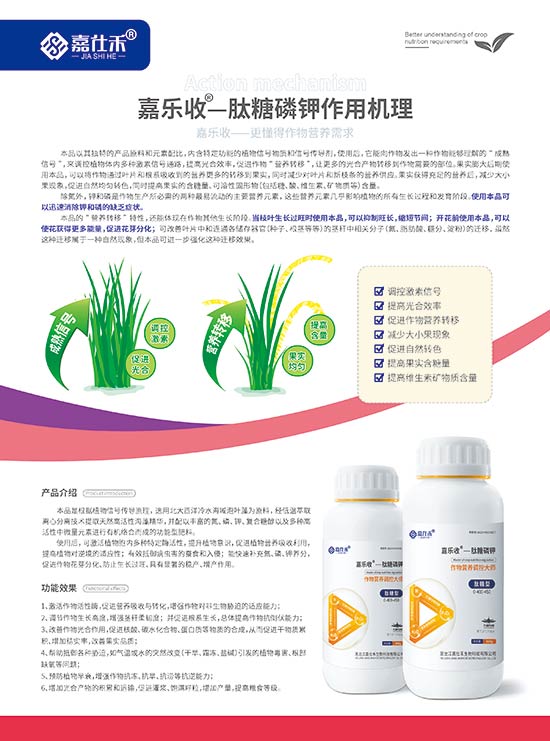 嘉仕禾單頁(yè)（肽糖磷鉀）-210x285mm-背面