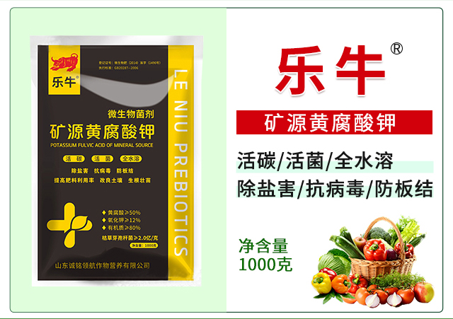 �VԴ�S�����-�\��I(l��ng)��_03