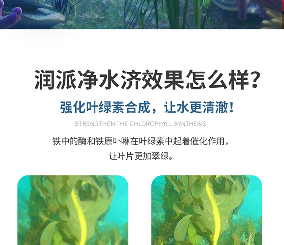 潤(rùn)派底改凈水劑-潤(rùn)派生物_10