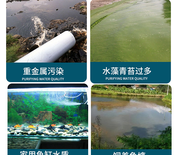 潤(rùn)派底改凈水劑-潤(rùn)派生物_04