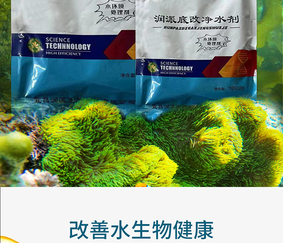 潤(rùn)派底改凈水劑-潤(rùn)派生物_02