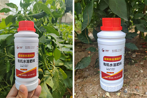 靚果轉(zhuǎn)色增甜劑-卡施特3