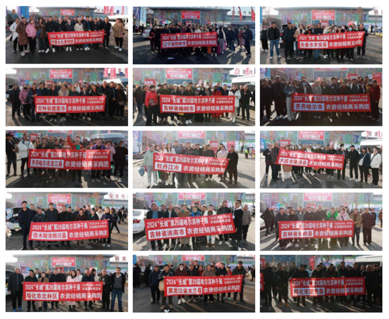 ��ɫ����