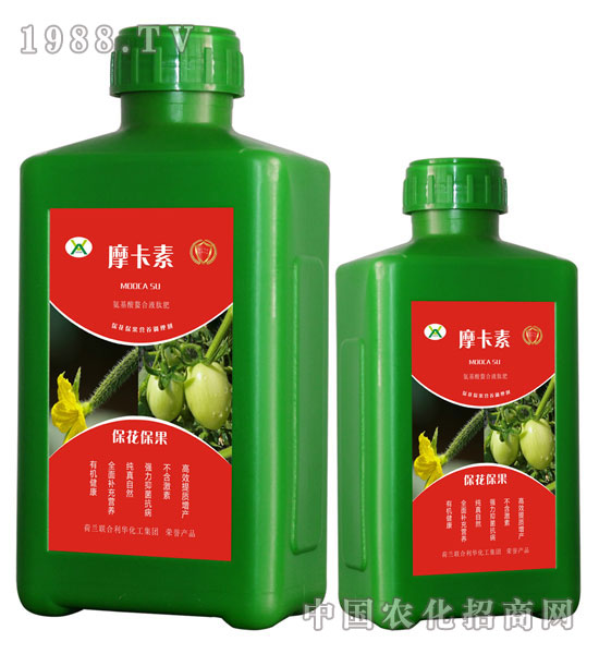 ?；ū９被狎弦弘姆?摩卡素-強(qiáng)芯國(guó)際