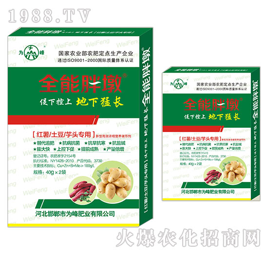 �t�������������^����-ȫ���ֶ�-���